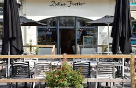 Bellus fortis